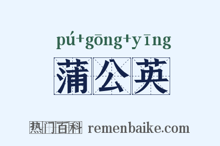 蒲公英是什么意思的图片